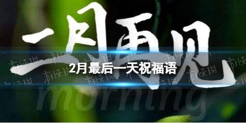 最后一天,最后一天的精彩瞬间