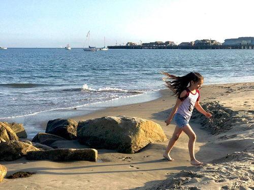 西海岸的狼,荒野传奇与生存智慧