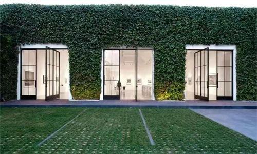 西海岸的狼,荒野传奇与生存智慧