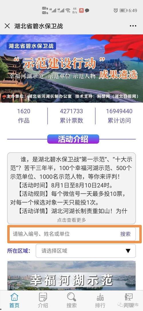 关键一票 2008,改变历史的投票时刻