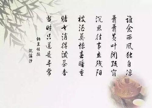 痴心寄风却成雪（相思错付云与月）,风雪寄情，月下云间