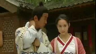 少年张三丰,武学奇才的传奇成长之路