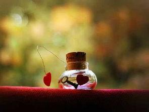 心语无光，我是女王,揭秘内心世界的女王之路