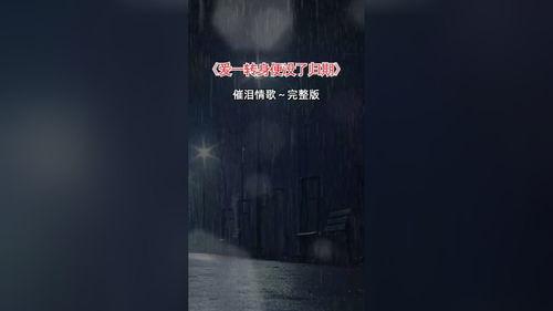 转身再无归期,一段未完的旅程