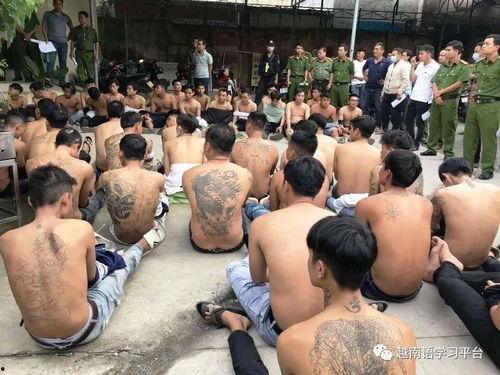 黑会社,暗流涌动的地下世界揭秘