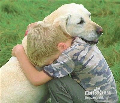与狗一起生活,揭秘人犬和谐生活的奥秘