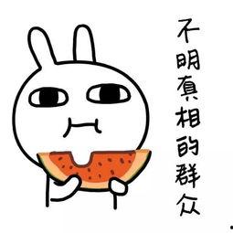 吃瓜娱乐简介句子,吃瓜群众眼中的明星幕后故事